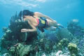 Florida Keys diving